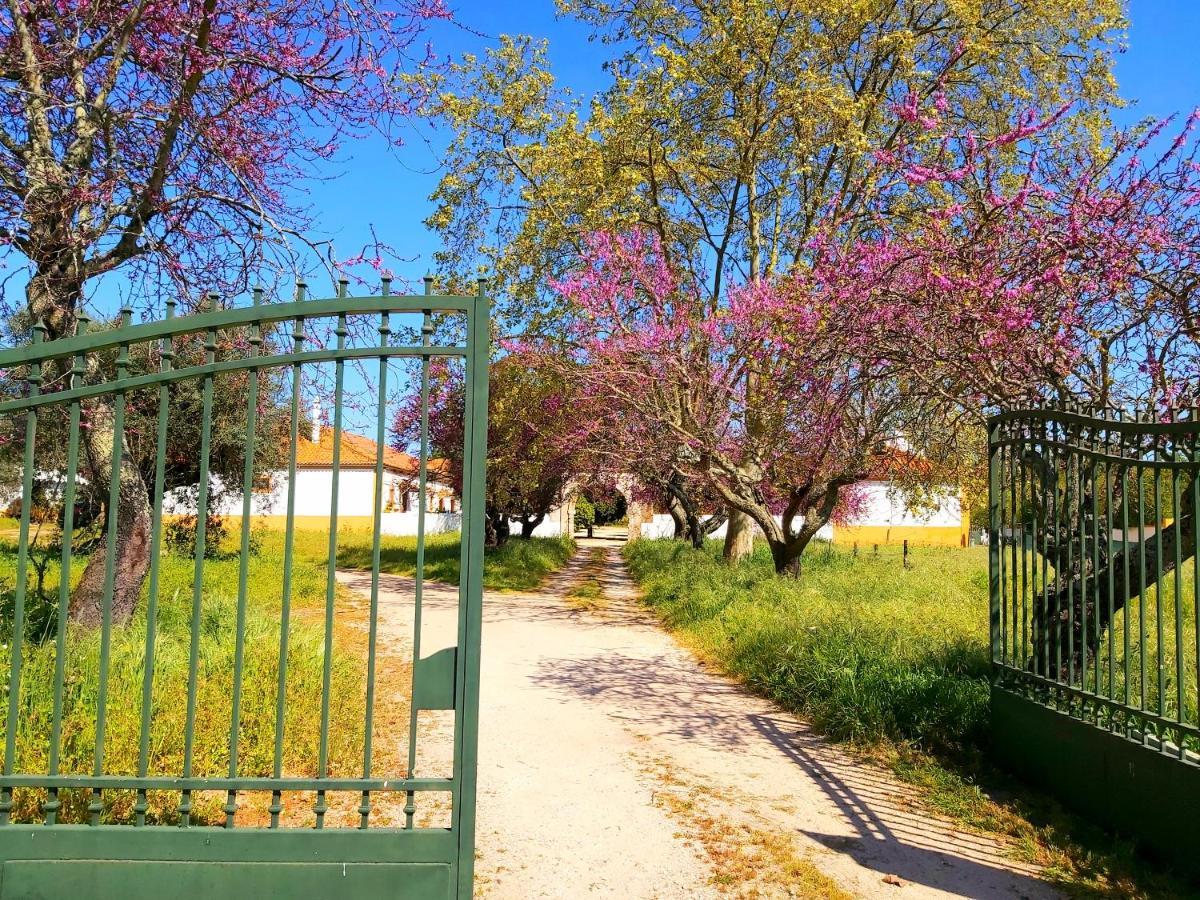 Casas Herdade Do Convento Da Serra Almeirim Exteriér fotografie