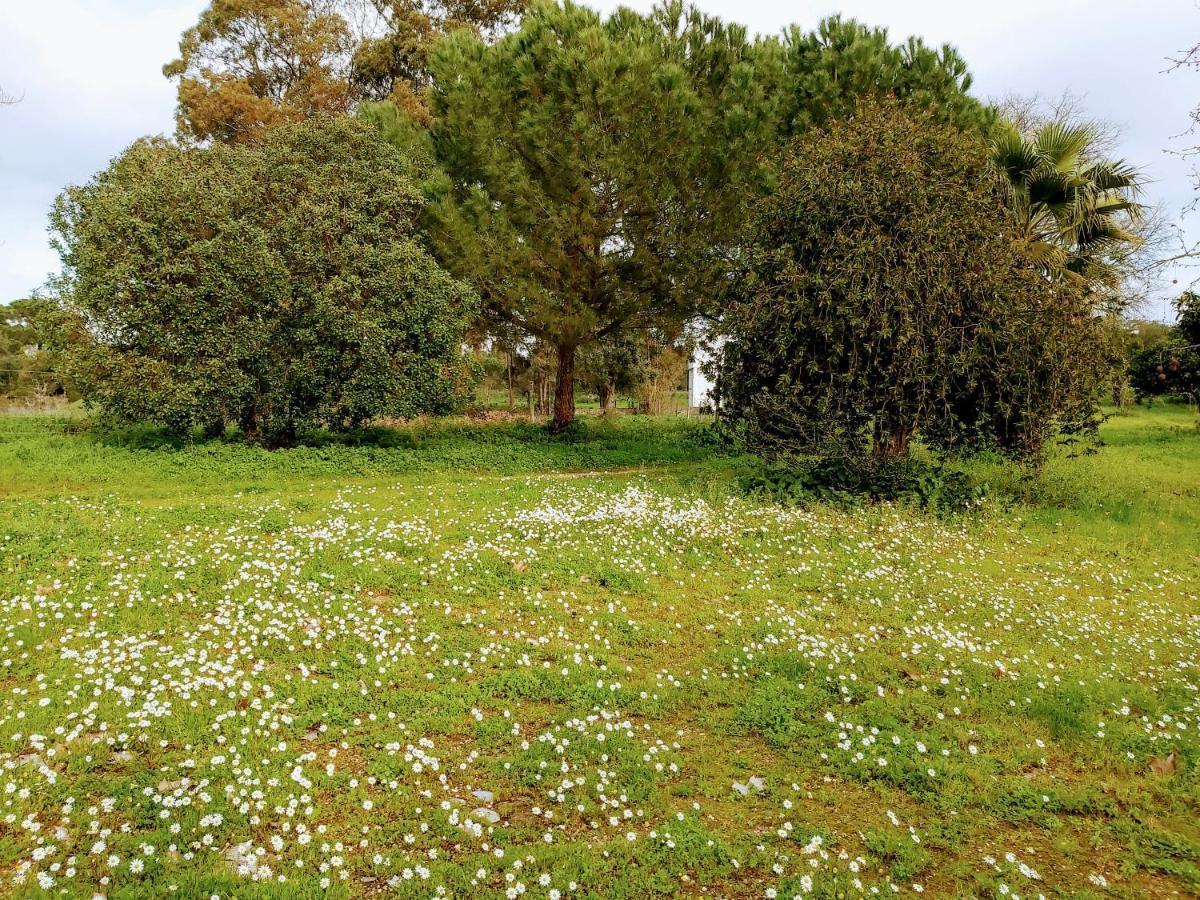 Casas Herdade Do Convento Da Serra Almeirim Exteriér fotografie