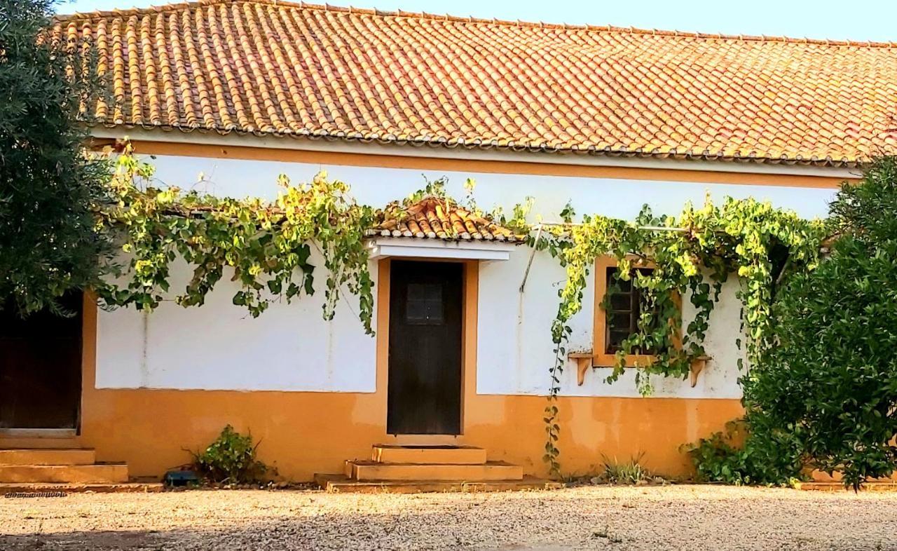 Casas Herdade Do Convento Da Serra Almeirim Exteriér fotografie