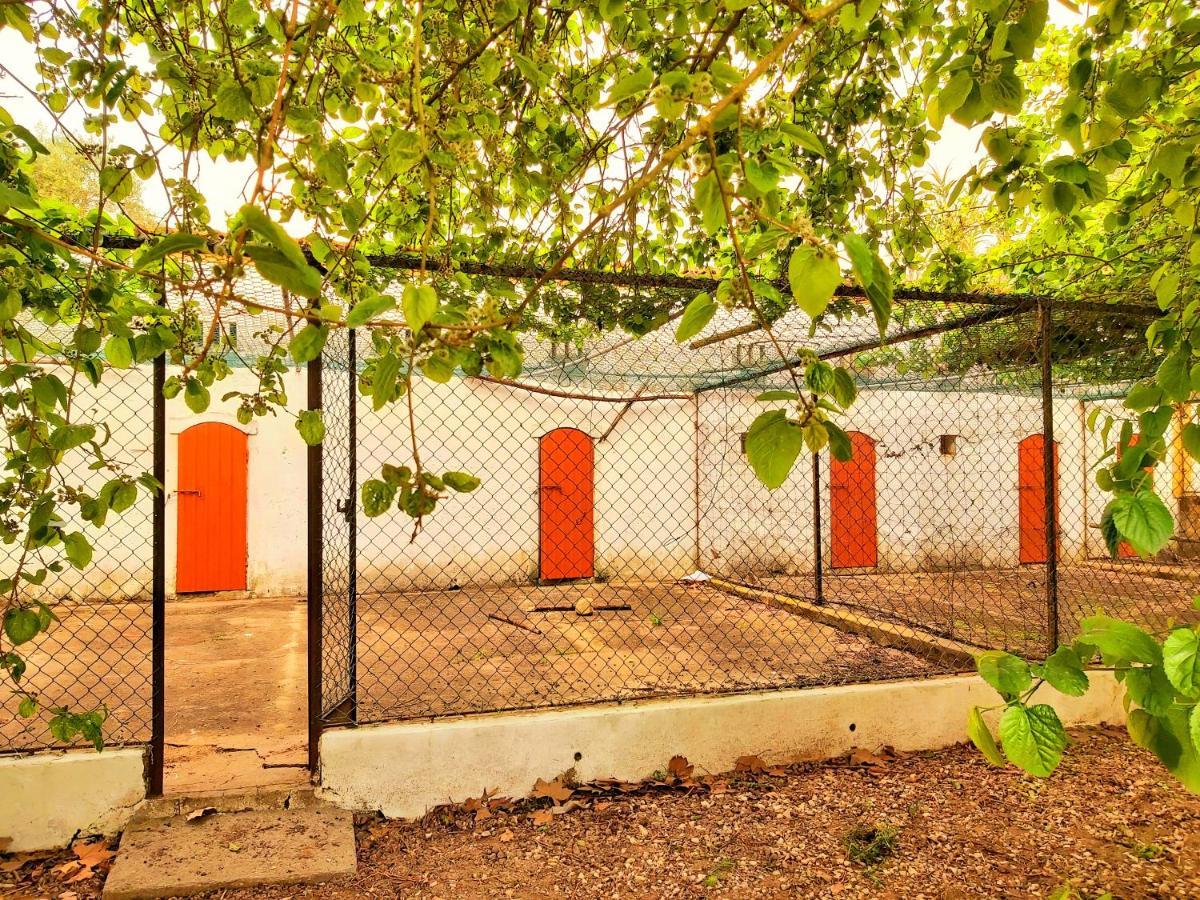 Casas Herdade Do Convento Da Serra Almeirim Exteriér fotografie