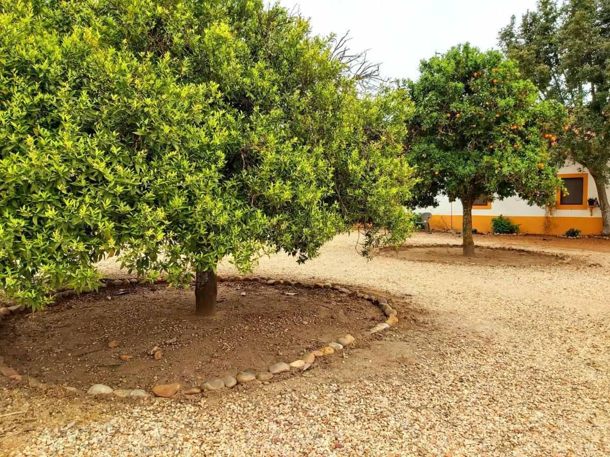 Casas Herdade Do Convento Da Serra Almeirim Exteriér fotografie