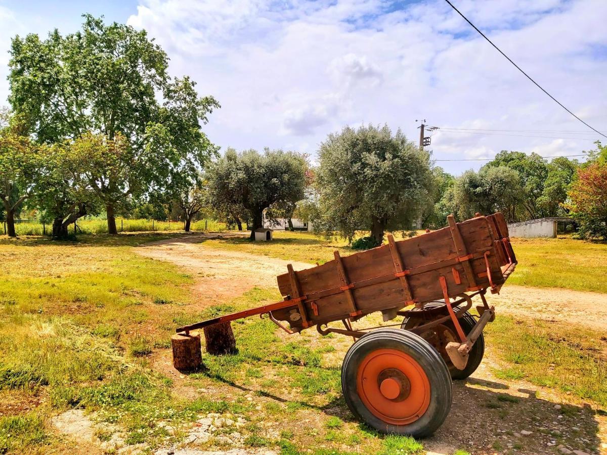 Casas Herdade Do Convento Da Serra Almeirim Exteriér fotografie