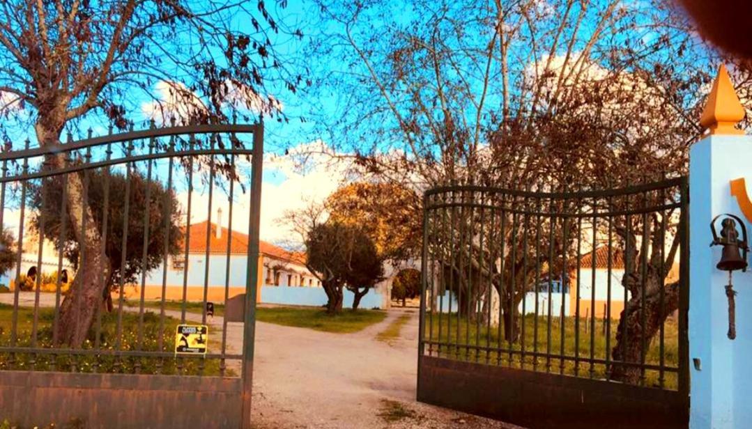 Casas Herdade Do Convento Da Serra Almeirim Exteriér fotografie