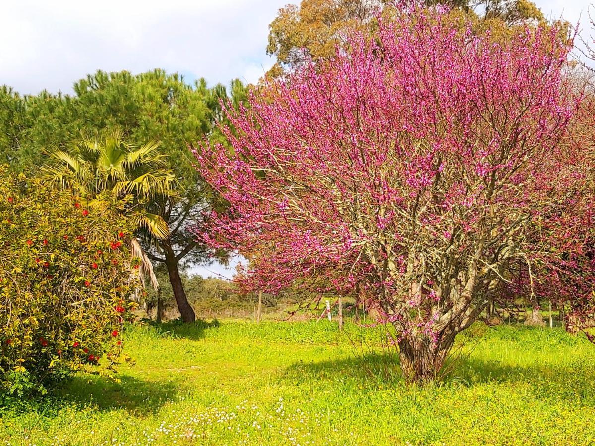 Casas Herdade Do Convento Da Serra Almeirim Exteriér fotografie