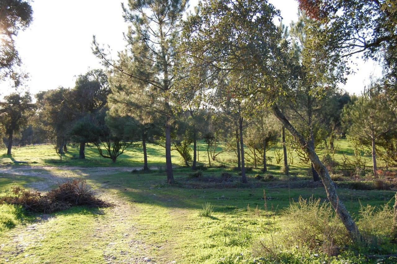 Casas Herdade Do Convento Da Serra Almeirim Exteriér fotografie