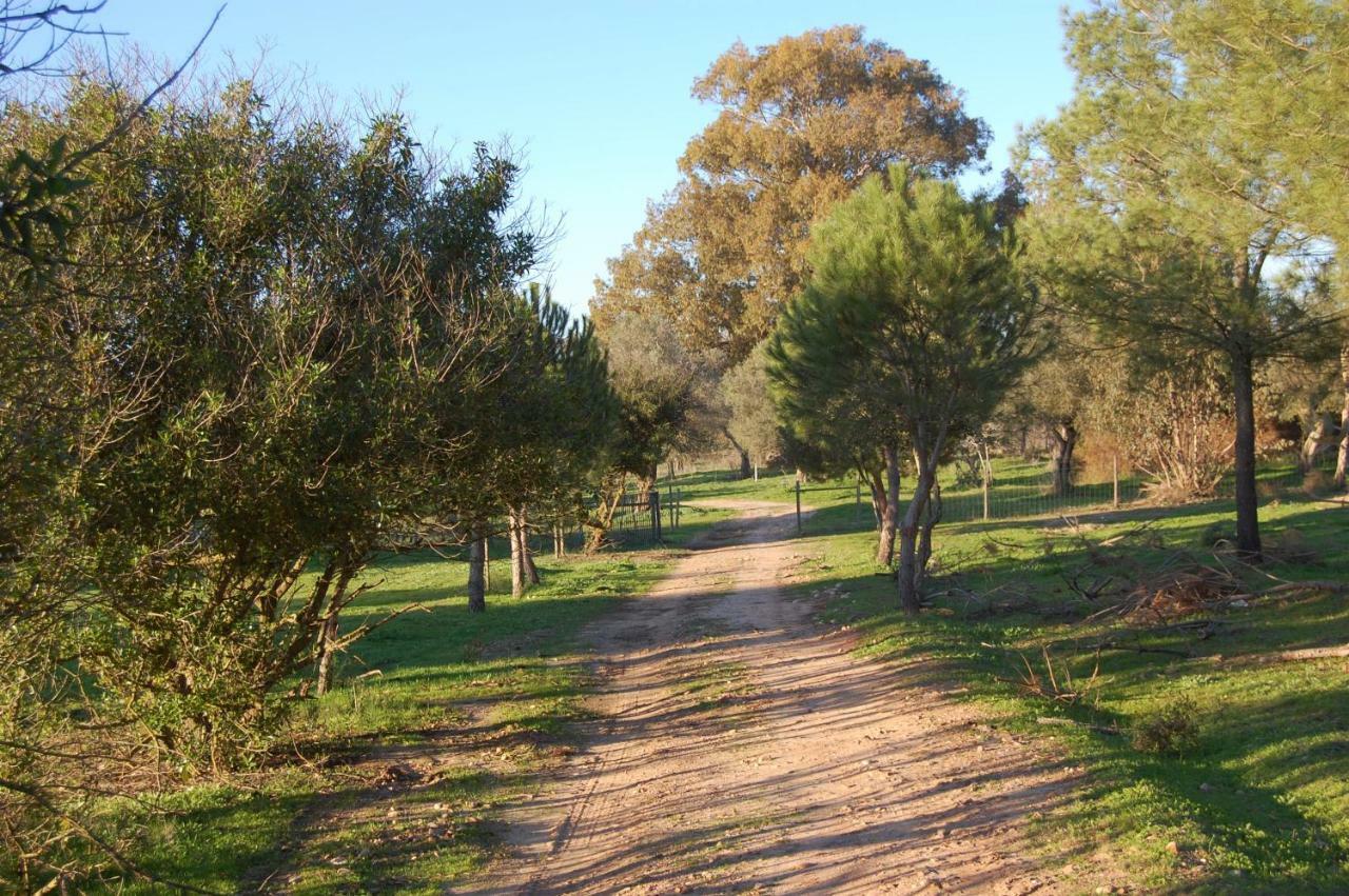 Casas Herdade Do Convento Da Serra Almeirim Exteriér fotografie