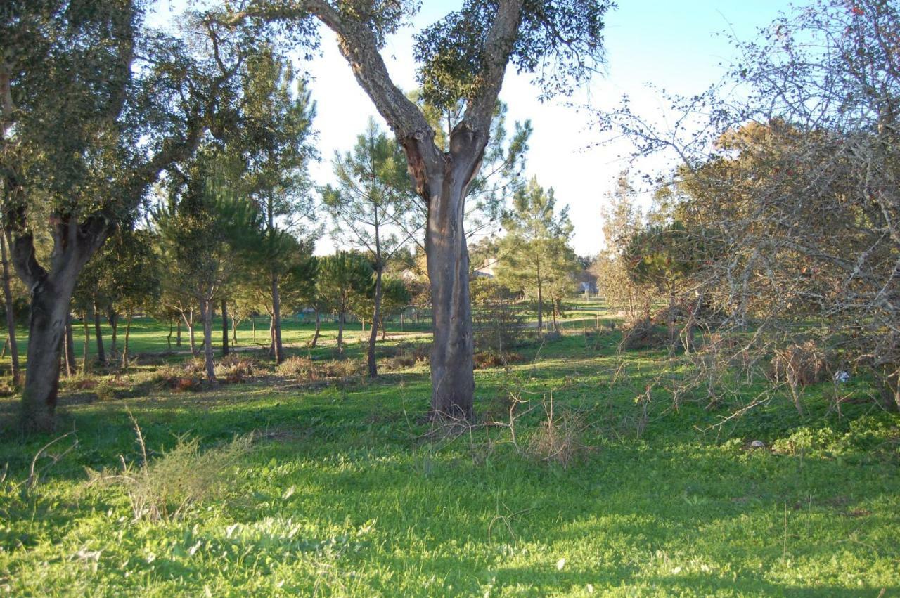 Casas Herdade Do Convento Da Serra Almeirim Exteriér fotografie